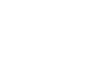 logo dfsk