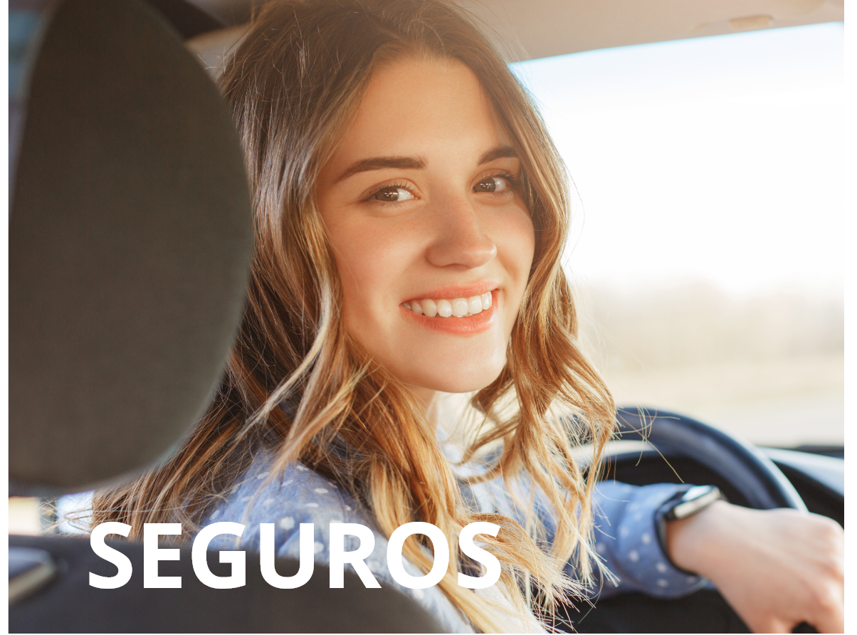 Seguros ford