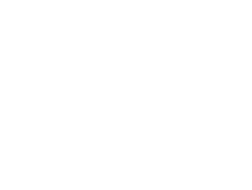 logo mg blanco