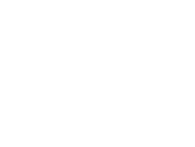 logo mg blanco